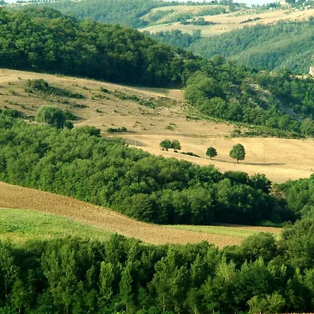 カントリーハウス Fattoria L' Aquilone Poggio Aquilone