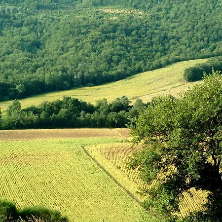 منزل ريفي Fattoria L' Aquilone Poggio Aquilone