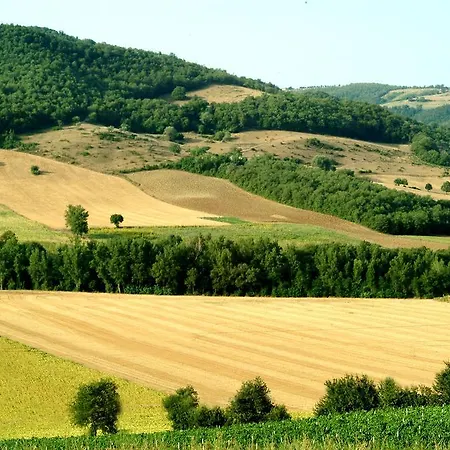 Fattoria L' Aquilone *